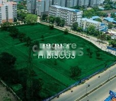 Purva Hibiscus Featured Image