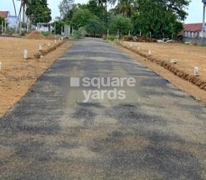 Rose and Lakshmi Garden Featured Image