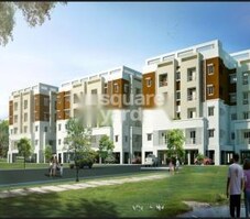 Royal Exotic Featured Image