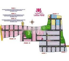 Royal Lotus Pond Featured Image