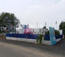 RR Daisy Garden Featured Image