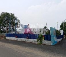 RR Daisy Garden Featured Image