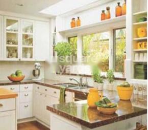 Saffrons Tulsi Featured Image