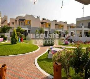 Sai fields Featured Image