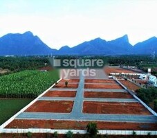 Sai Green Garden Featured Image