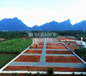 Sai Green Garden
