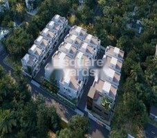 Sanbrix Amara Featured Image