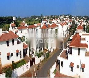 Sreevatsa Hill View