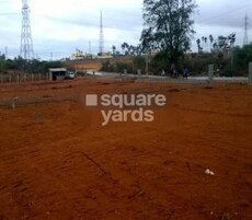 Star Avenue Featured Image