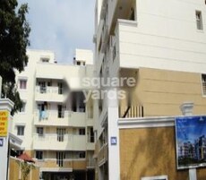 Triumph City Palms Featured Image