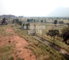 Unique Hill View City Featured Image