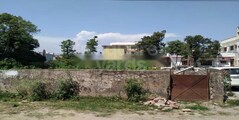 Balaji Plot