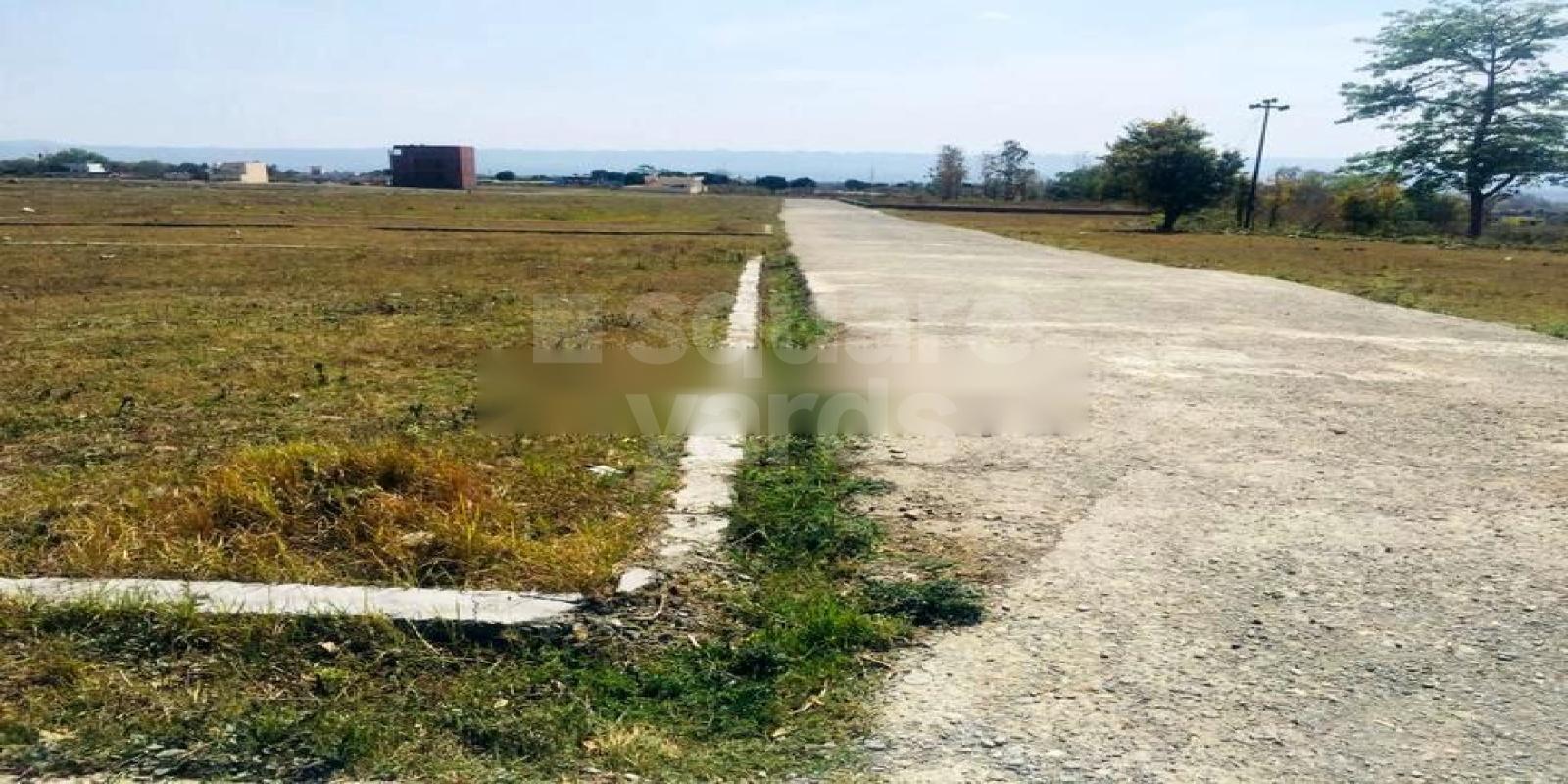 Defence Colony Bhauwala Featured Image