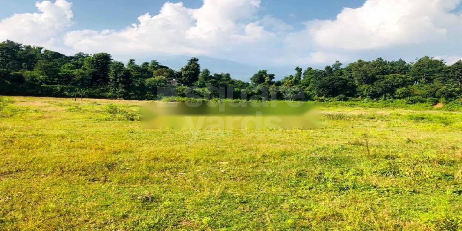 Defence Colony Cover Image