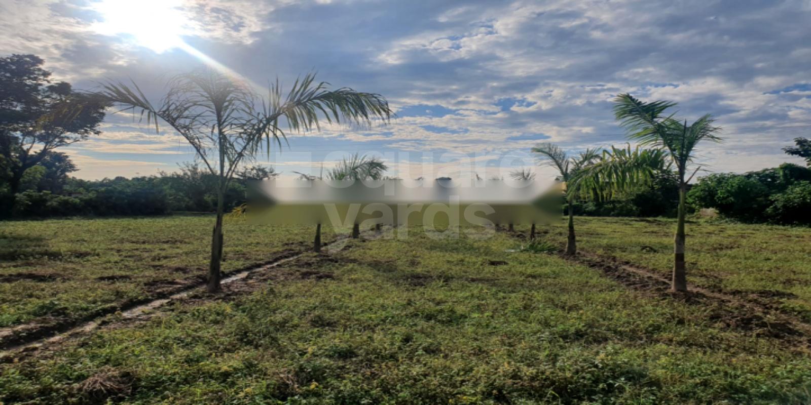 Defence Colony Olive Greens residential project in Dhaulas