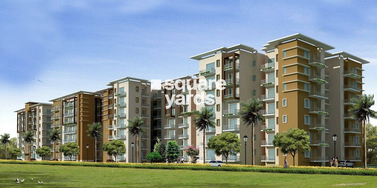 GAV Green View Blossom Featured Image