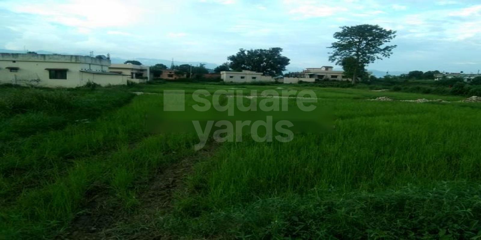 Hanukripa Phase 2 Featured Image