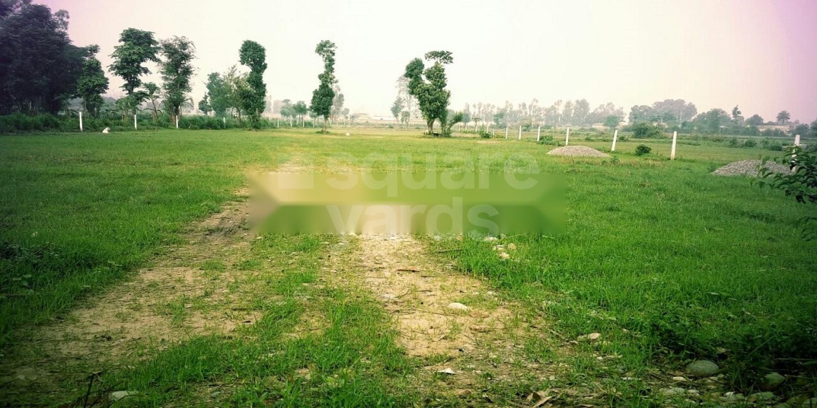 Manvar Shivalik Colony residential project in Singhniwala