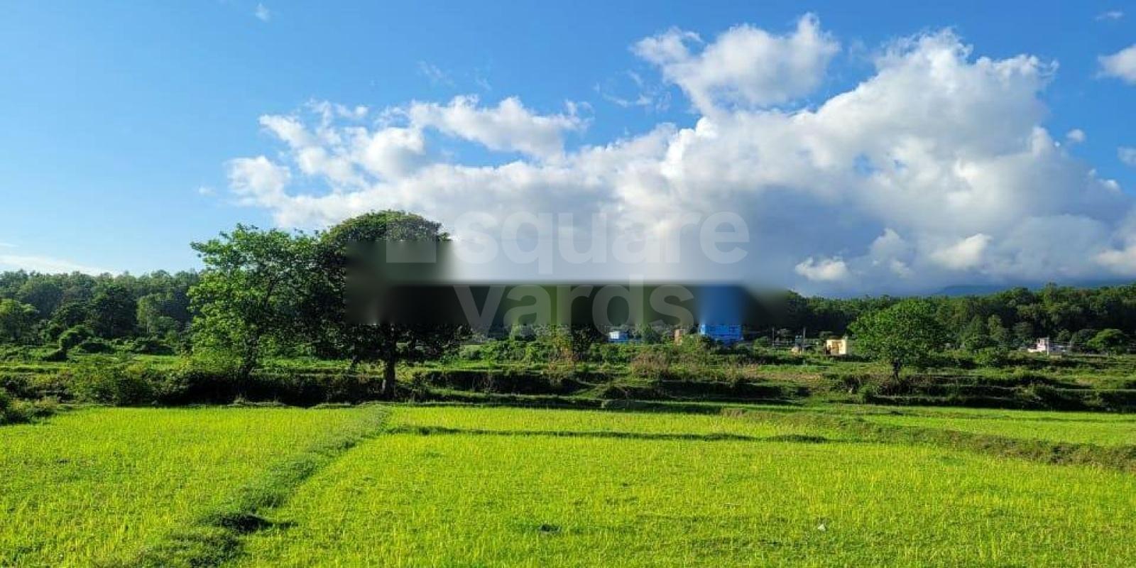 Naudiyal Farms residential project in Tilwari