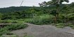 Realty Mussoorie Greens Cover Image