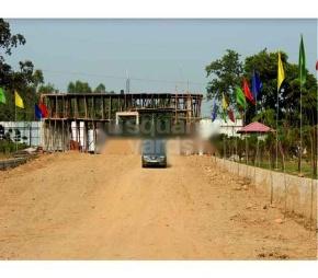 A2Z Serene Greens Featured Image