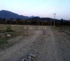 Arboria Greens Featured Image