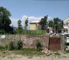 Balaji Plot