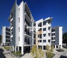 Conscient Arborea Featured Image