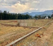 Defence Colony Arpan City Featured Image