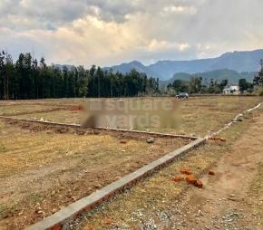 Defence Colony Arpan City Featured Image