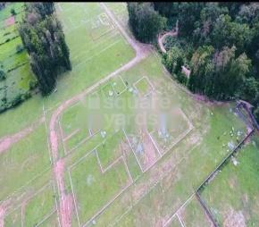 Defence Colony Evergreen City