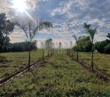 Defence Colony Olive Greens Featured Image