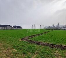 Defence Colony Shimla Bypass Featured Image
