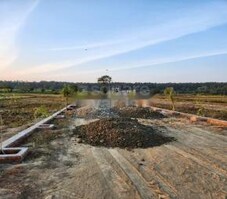 Ellen Farms Featured Image