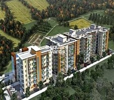 GAV Green View Blossom Featured Image