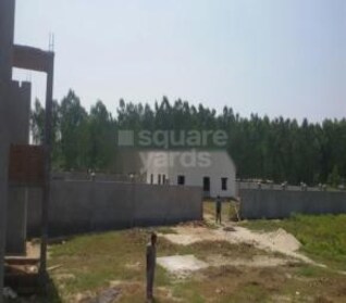 Green Sailok in Biharigarh, Dehradun