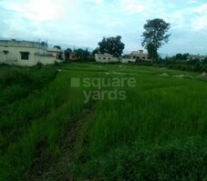 Hanukripa Phase 2 Featured Image