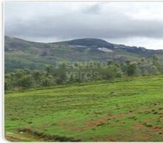 IFI Doonanchal Featured Image