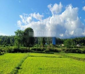 Naudiyal Farms