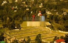 Oakwood Residency Featured Image