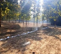 Ocean Empire Estate, Pondha, Dehradun