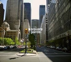 Park Avenue Featured Image