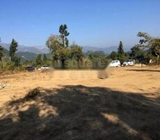 SJ Hill View Legacy Featured Image