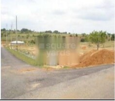 Super Ayaz, Banjarawala, Dehradun