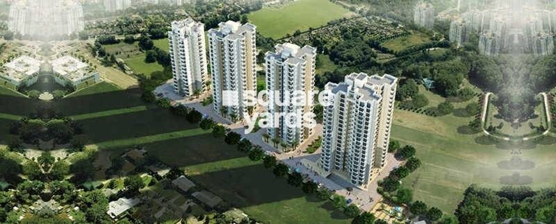 A P Wonders Tower View 2