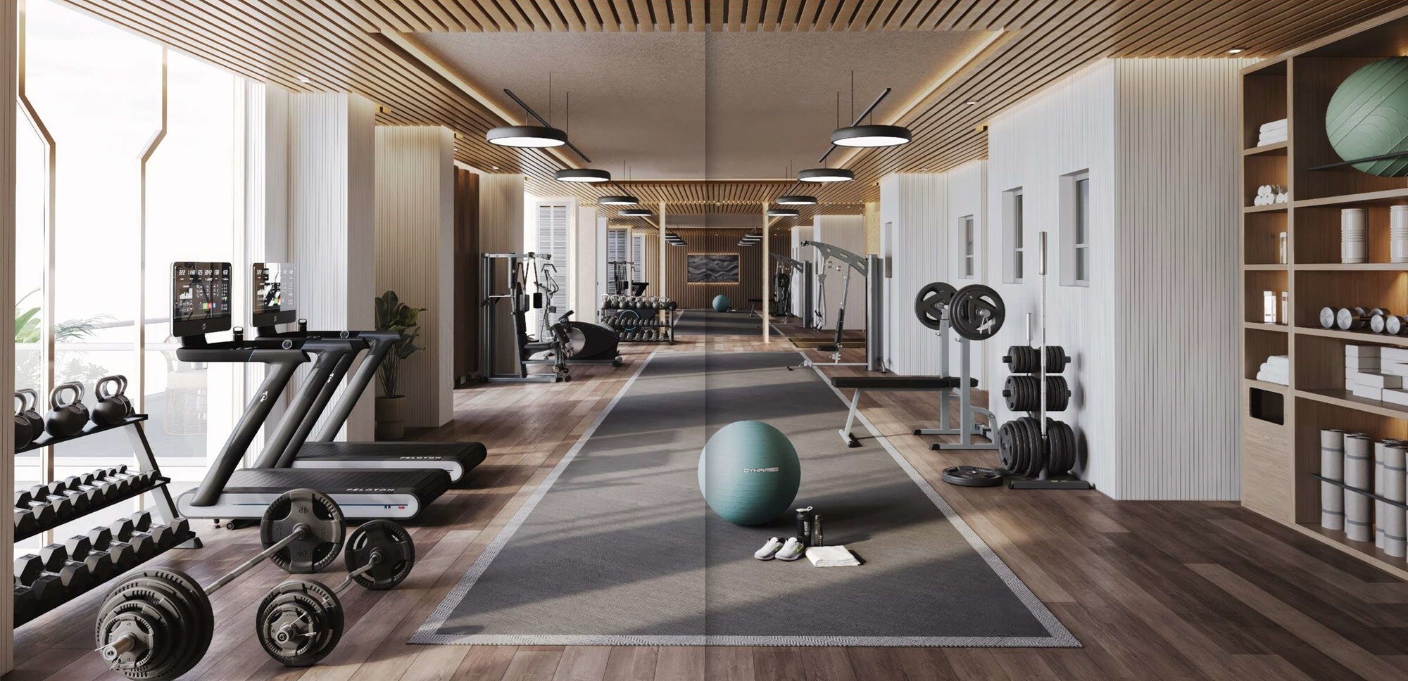 Ambition The Platinum Gymnasium Image 2
