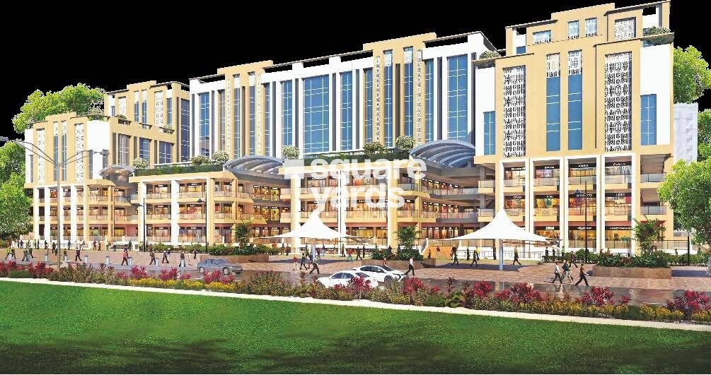 NBCC Down Town Tower View