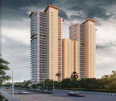 Ambition The Platinum Featured Image