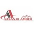 Aasanjo Amber Aasanjo Amber Developer Logo