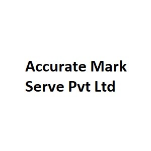 Accurate Mark Serve Pvt Ltd logo